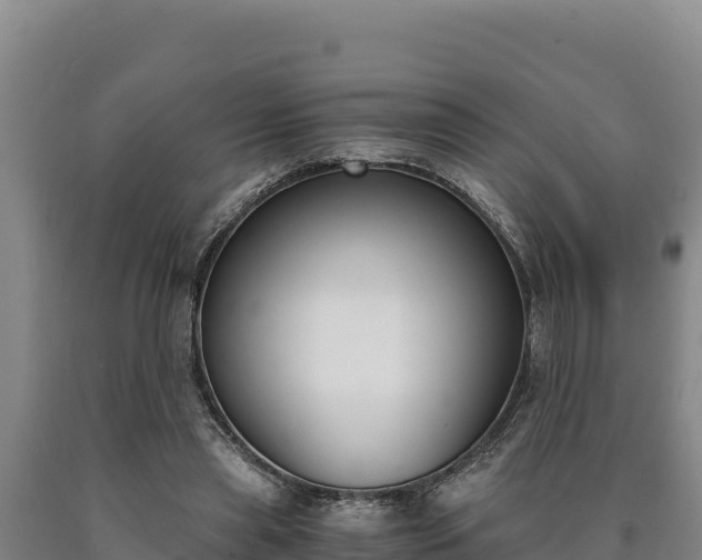 X0000090740445200707271427