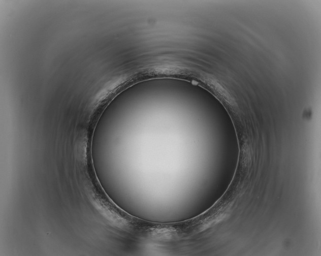 X0000090740446200707271427