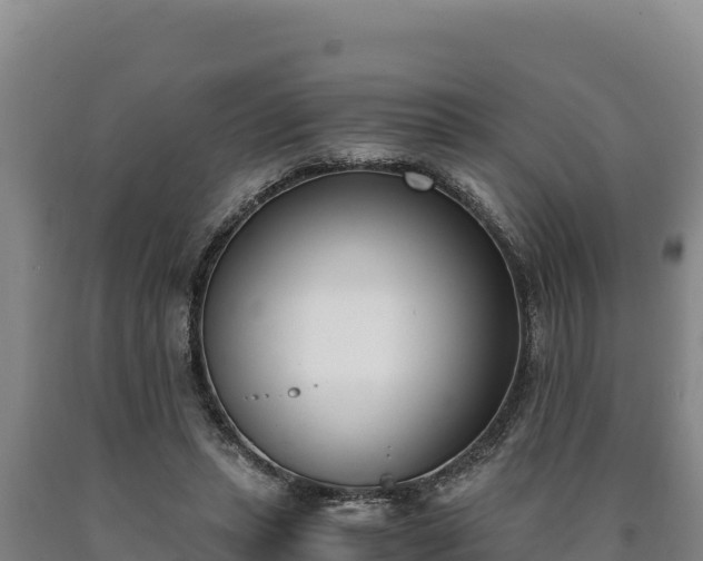 X0000090740447200707271427