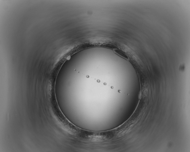 X0000090740448200707271427