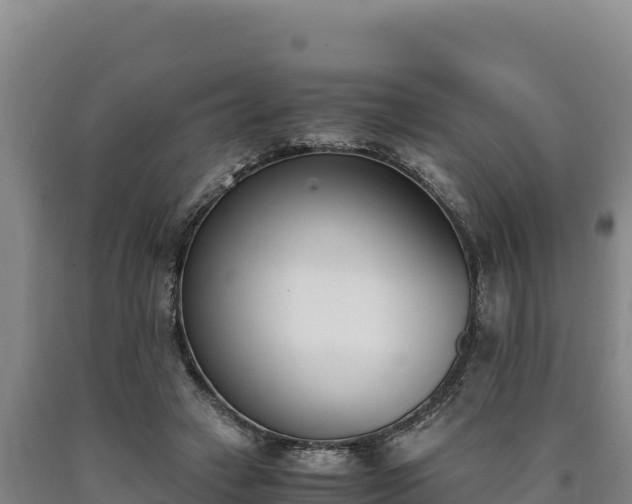 X0000090740449200707271427