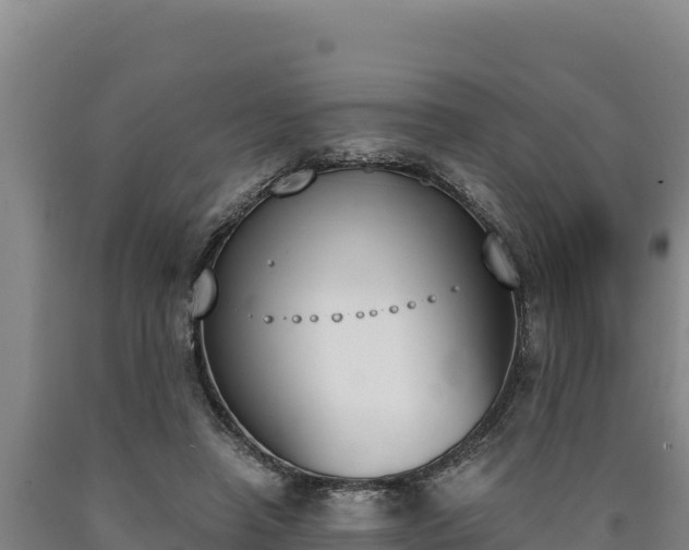 X0000090740450200707271427