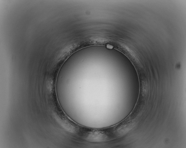 X0000090740451200707271427