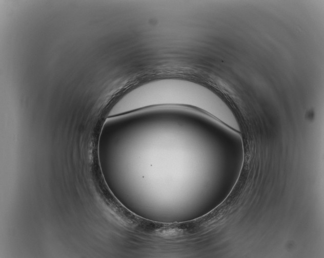 X0000090740452200707271427