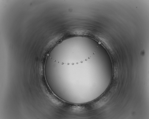 X0000090740453200707271427