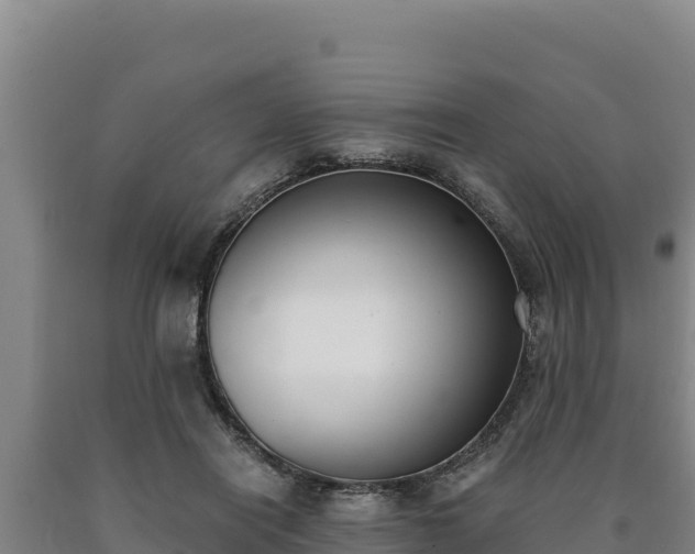 X0000090740454200707271427