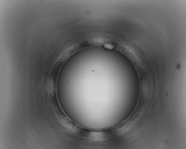 X0000090740457200707271427