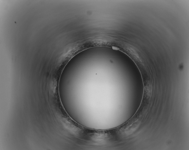 X0000090740458200707271427