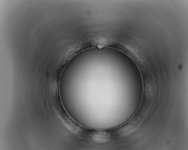 X0000090740459200707271427