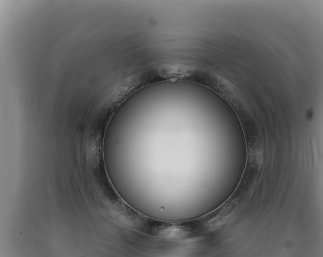 X0000090740460200707271427