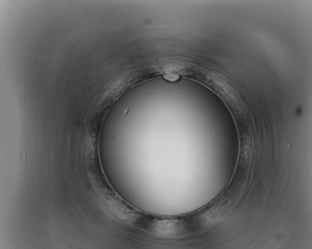 X0000090740461200707271427