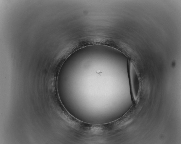 X0000090740462200707271427