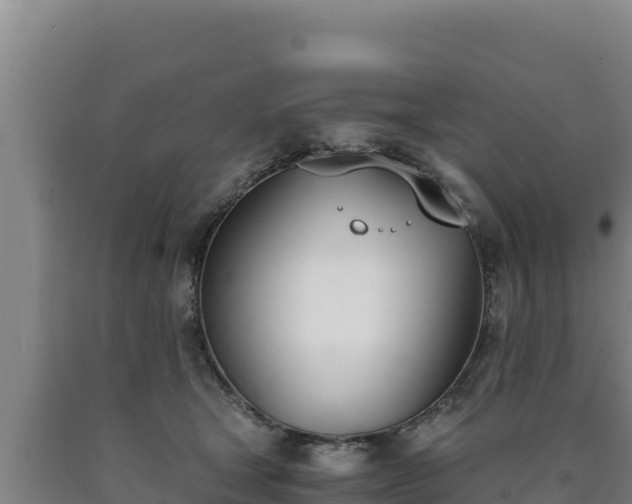 X0000090740465200707271427