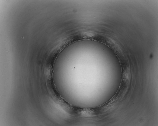 X0000090740468200707271427