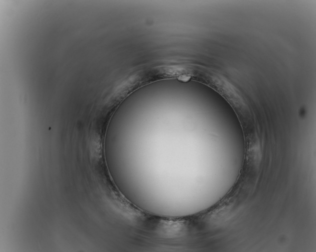 X0000090740469200707271428