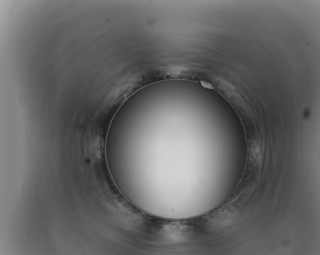 X0000090740470200707271428