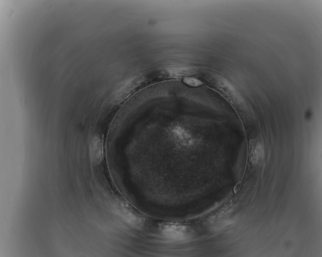 X0000090740471200707271428