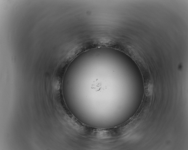 X0000090740472200707271428