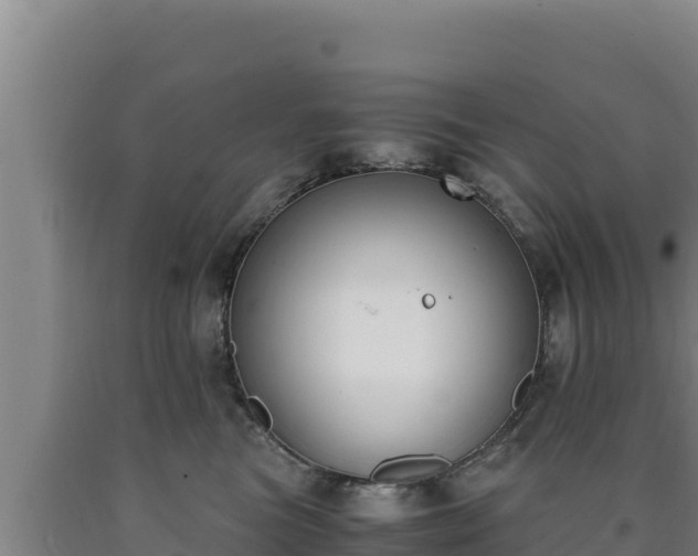 X0000090740473200707271428