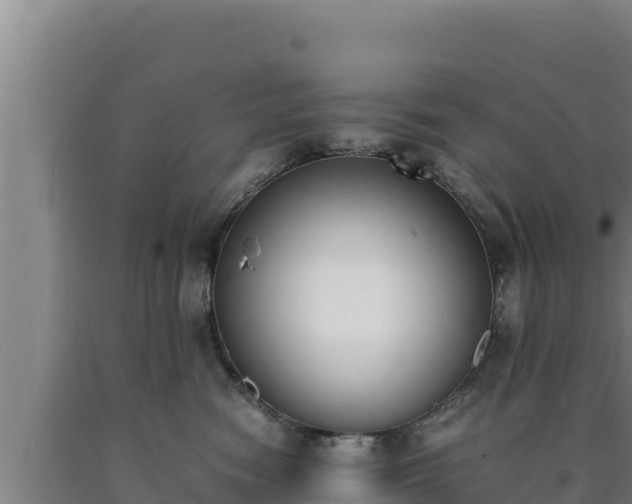 X0000090740474200707271428