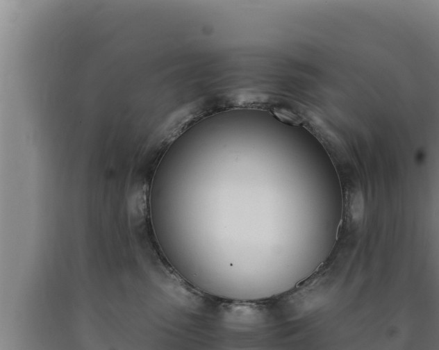 X0000090740475200707271428