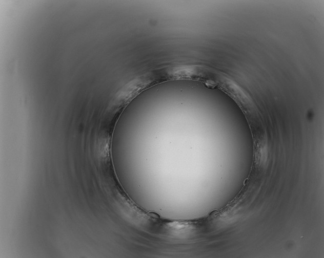 X0000090740477200707271428