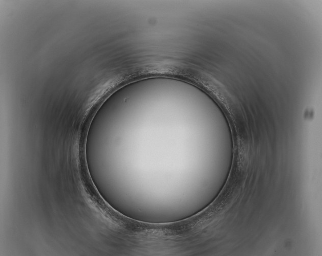 X0000090740482200707271427