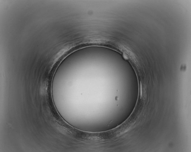 X0000090740483200707271427