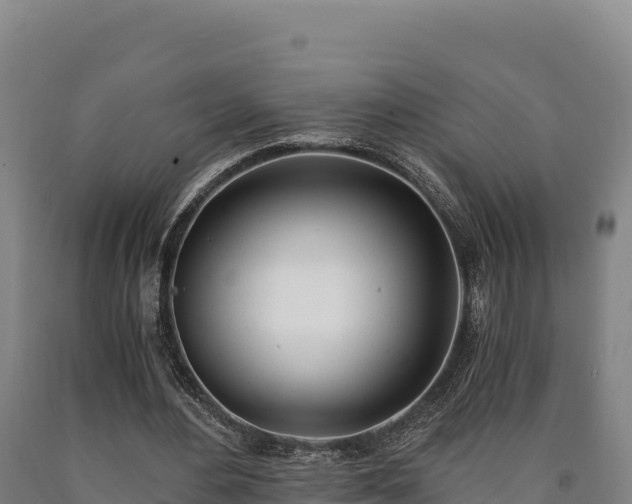 X0000090740484200707271427