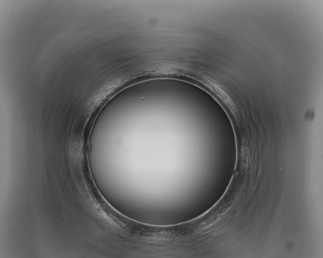 X0000090740485200707271427