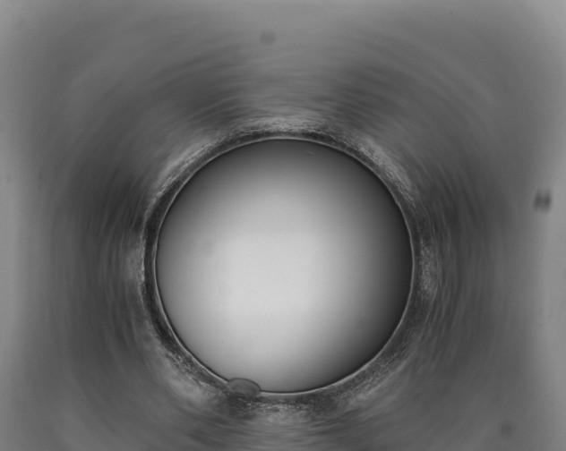 X0000090740486200707271427