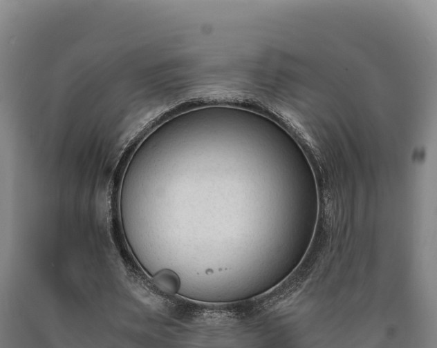 X0000090740487200707271427