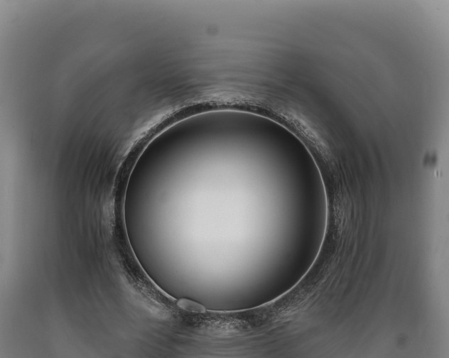 X0000090740488200707271427