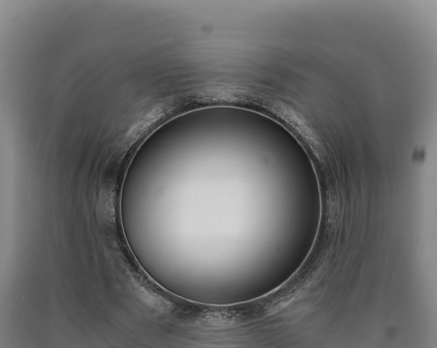 X0000090740489200707271427