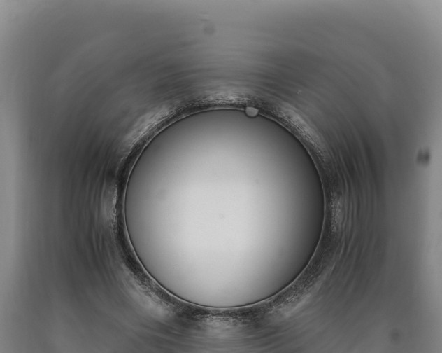 X0000090740490200707271427