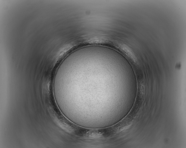 X0000090740491200707271427