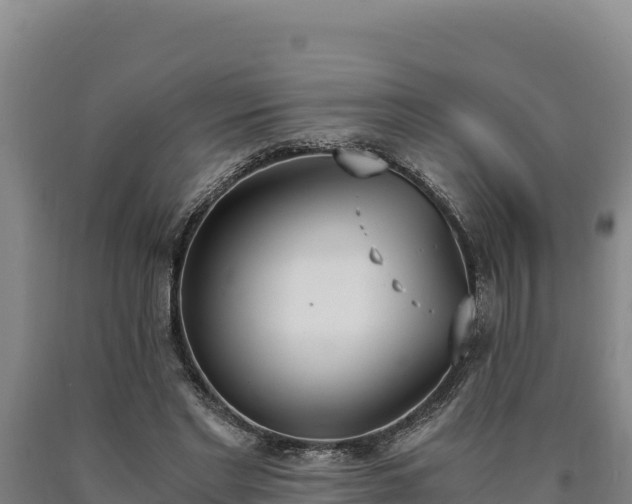 X0000090740493200707271427