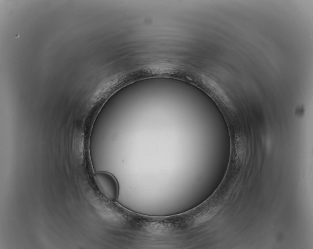 X0000090740494200707271427