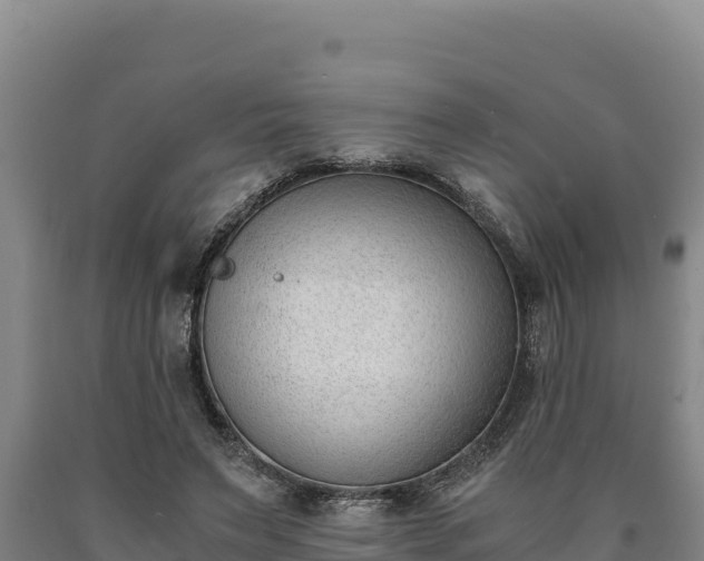 X0000090740495200707271427