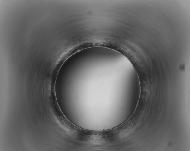 X0000090740496200707271427