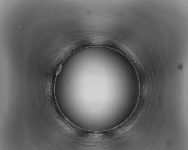 X0000090740497200707271427