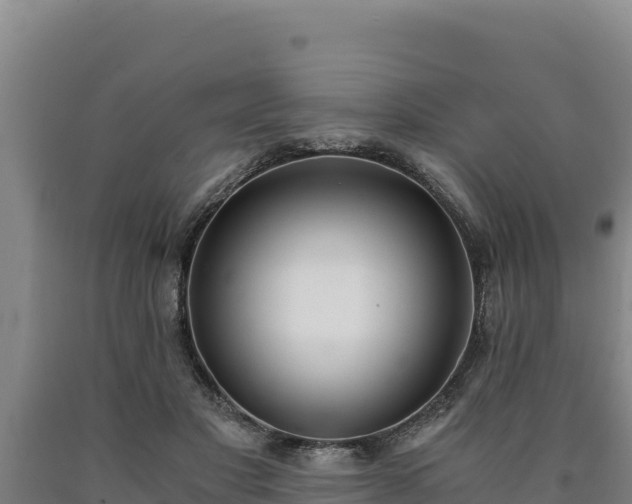 X0000090740501200707271427