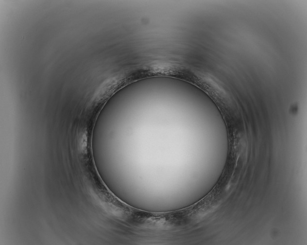 X0000090740502200707271427