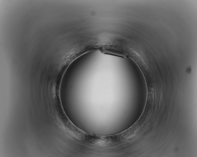 X0000090740504200707271427