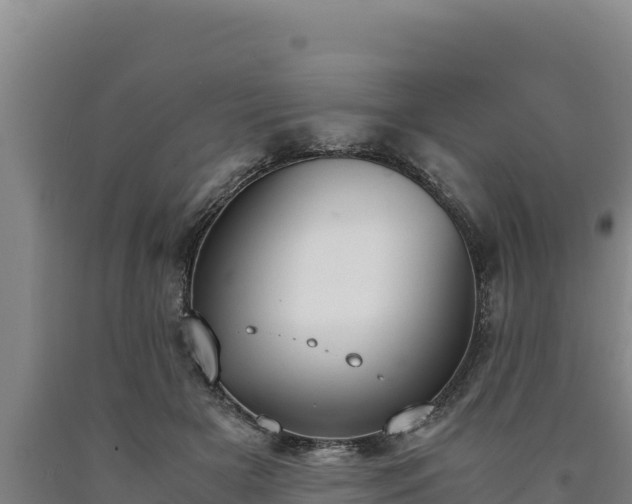 X0000090740505200707271427