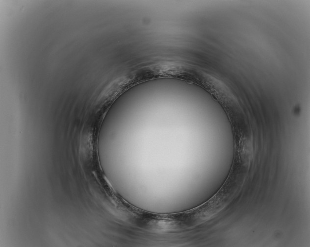 X0000090740506200707271427