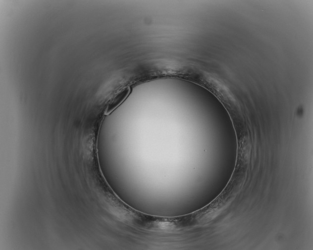 X0000090740509200707271427