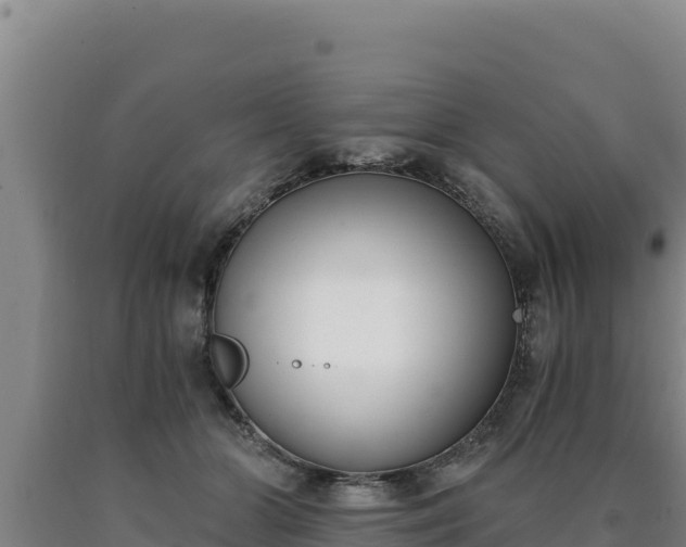 X0000090740510200707271426