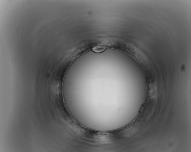 X0000090740514200707271426