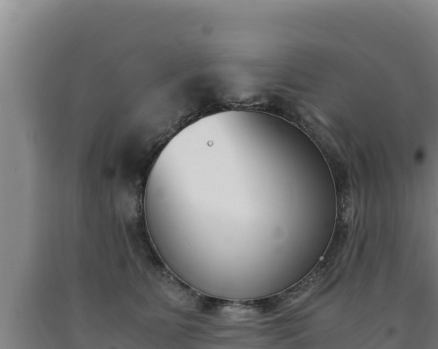 X0000090740515200707271426